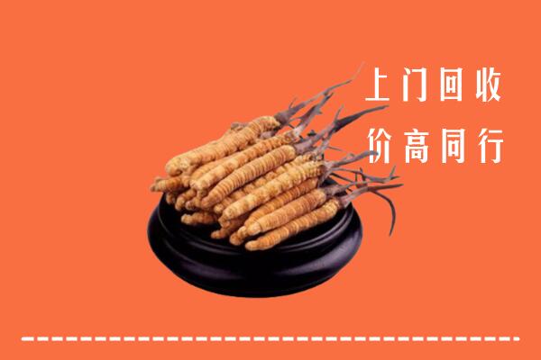 高价求购：三明市永安回收散虫草