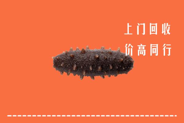 高价求购：三明市永安回收海参