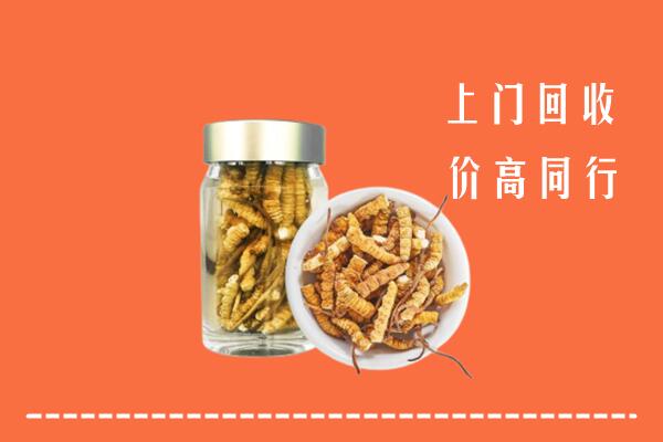三明市永安回收冬虫夏草