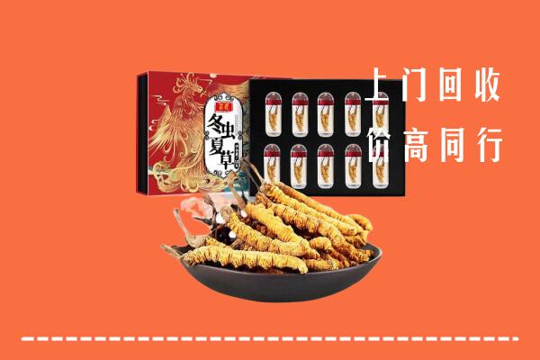 三明市永安回收虫草